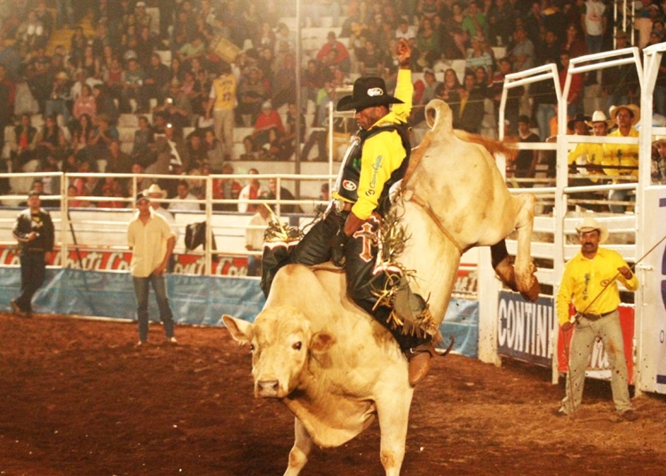 Festa do Peão de Americana é adiada para 2021