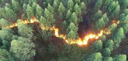 Incêndio atinge área de mata em Vinhedo