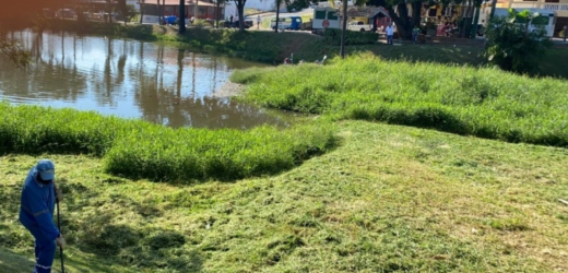 Vinhedo de Cara Limpa chega à região da Vila João XXIII