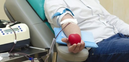 Vinhedo promove campanha de doação de sangue na quarta-feira (16)