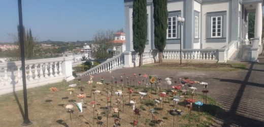 Exposição de ceramistas (Re)Florescer será aberta nesta sexta nos jardins do Memorial do Imigrante de Vinhedo