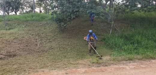 Vinhedo de Cara Limpa está sendo realizado na região do Bela Vista e Vida Nova