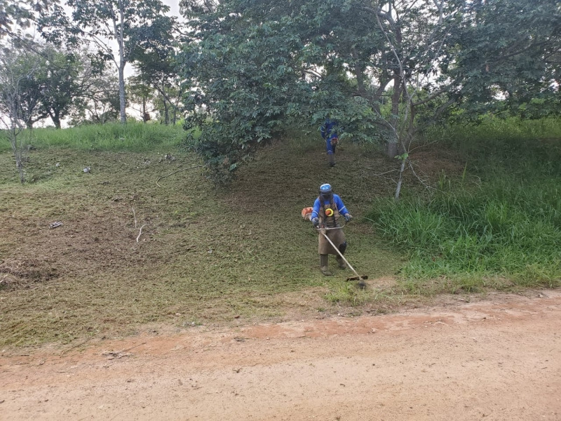 Vinhedo de Cara Limpa está sendo realizado na região do Bela Vista e Vida Nova